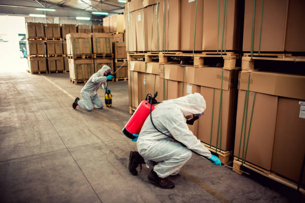 Best Pest Removal Services  in Sa Loma, CA