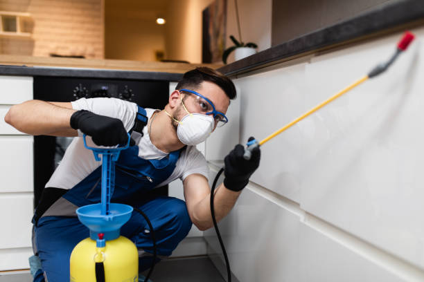 Best Mosquito Control Services  in Sa Loma, CA
