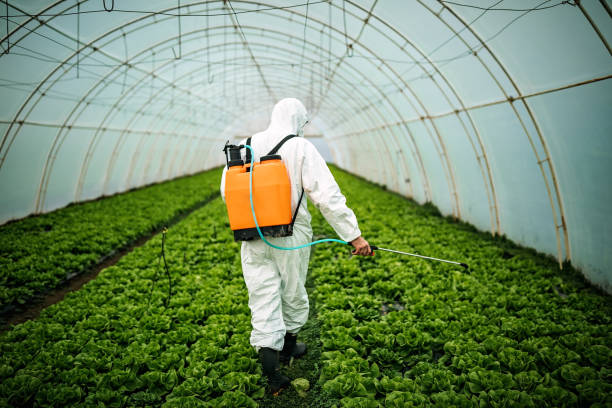  Sa Loma, CA Pest Control Pros