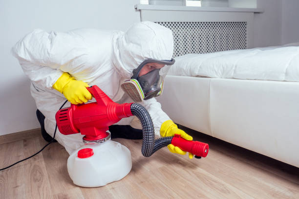 Best Flea Control Services  in Sa Loma, CA