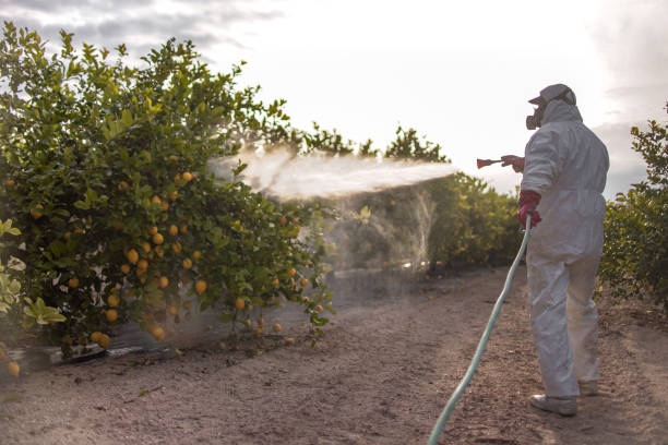 Best Pest Removal Services  in Sa Loma, CA